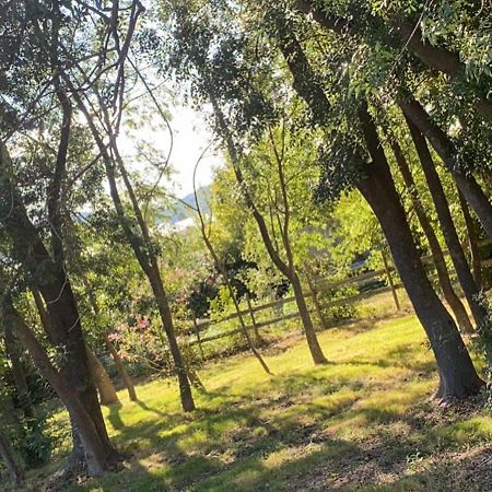 Chalet En Pleine Nature La Roquette-sur-Siagne Екстер'єр фото